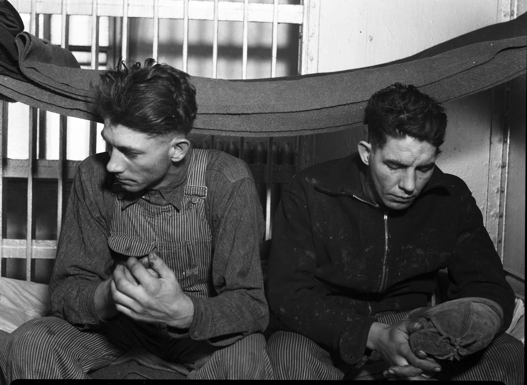 Ventura robbers